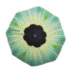 Μαξιλάρι Αχινός Τουρκουάζ Large